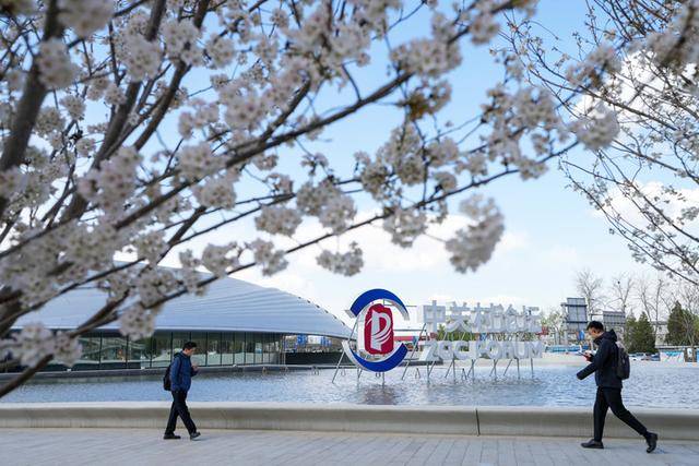 皇冠信用网会员申请_新华视点｜中关村论坛年会看新质生产力