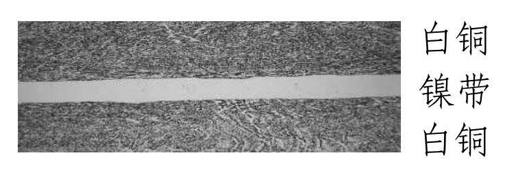 厄瓜多尔甲组联赛_中国人民银行定于4月15日起陆续发行海南热带雨林国家公园纪念币