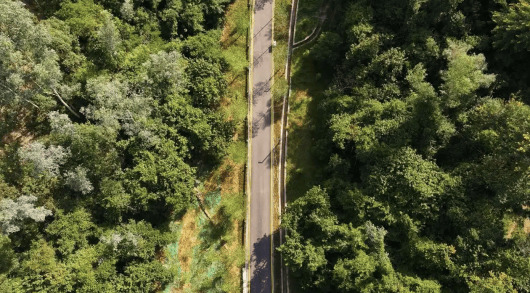 皇冠信用盘开户_深圳一绿道现“搓衣板式”减速带皇冠信用盘开户，网友直呼“反人类”，官方回应