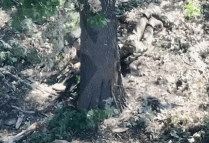 皇冠登2代理_数十名俄军吞枪自杀皇冠登2代理，多名女兵被炸死！用枪爆头会有痛苦吗？