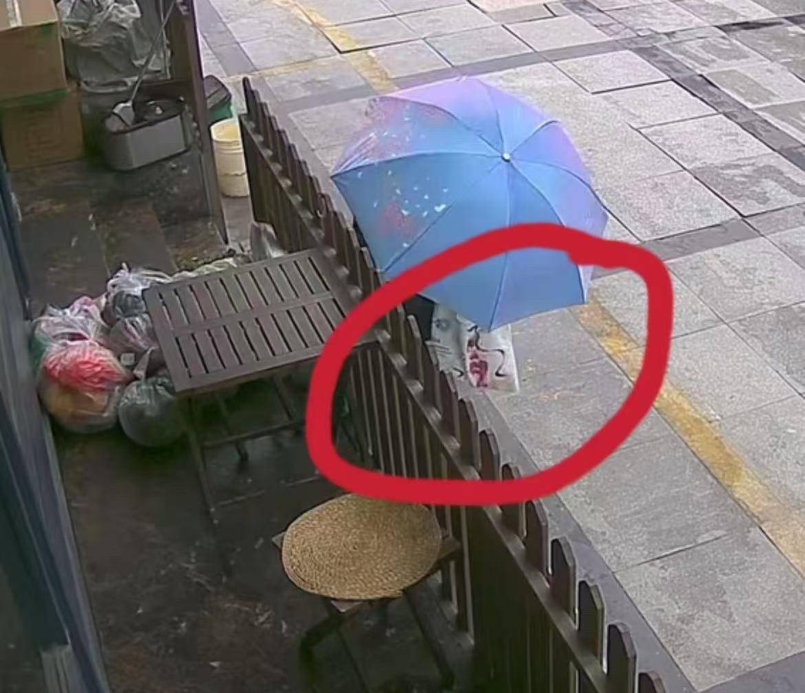 皇冠信用网怎么开户_又两只鸡没了！杭州小店老板娘崩溃：“顺”食材上瘾的这位阿姨皇冠信用网怎么开户，求求了