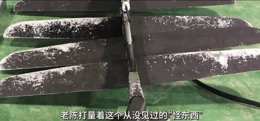 信用平台出租_中国渔民捞到“谍鱼”反手举报信用平台出租！间谍关系网被挖出