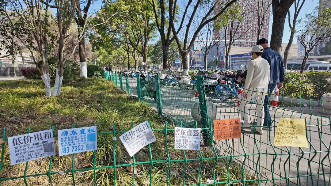 皇冠信用网足球代理_一二线城市房租普降皇冠信用网足球代理，房东主动降200留我