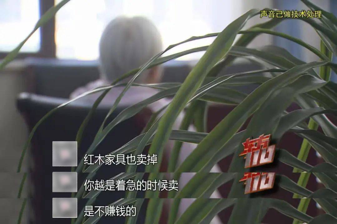 皇冠信用在线开户_上海“拆二代”败光5套房近4000万皇冠信用在线开户，彩票中800万又挥霍一空…