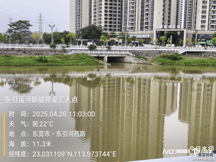 皇冠信用网出租_东莞寒溪河出现大片死鱼皇冠信用网出租！官方回应：天气原因