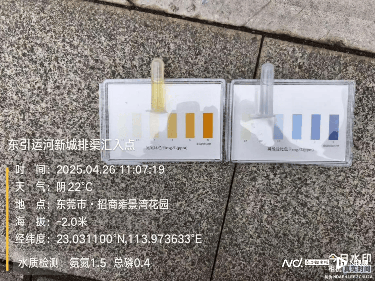 皇冠信用网出租_东莞寒溪河出现大片死鱼皇冠信用网出租！官方回应：天气原因