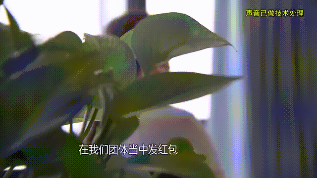 介绍个信用网址多少_37岁痴情女子倾尽百万泡面果腹仍坚持转账：帮介绍个信用网址多少他有种使命感