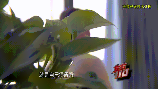 介绍个信用网址多少_37岁痴情女子倾尽百万泡面果腹仍坚持转账：帮介绍个信用网址多少他有种使命感