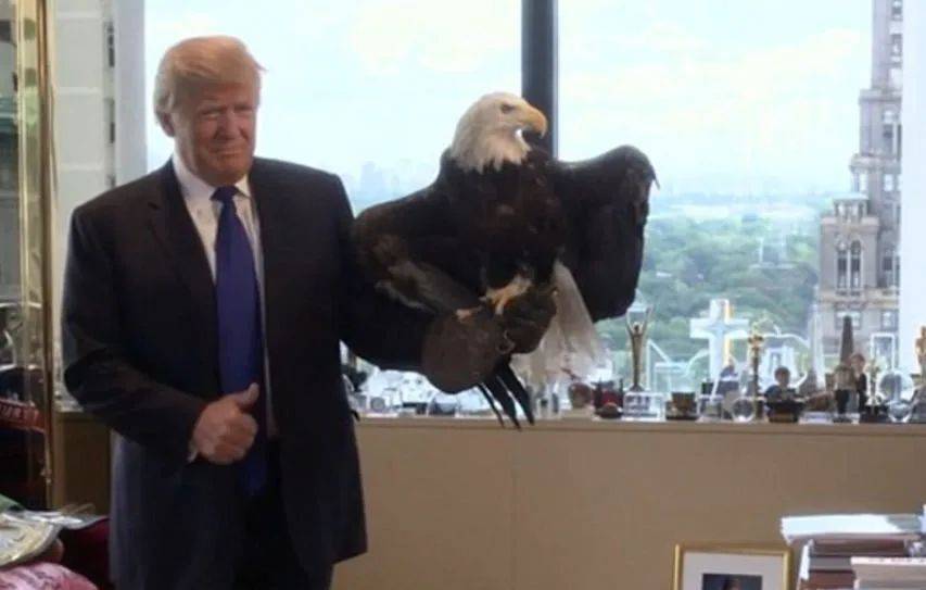 皇冠信用网代理出租_耶伦再次站了出来皇冠信用网代理出租，若是与中国对着干，就把美国自己给“打残”了