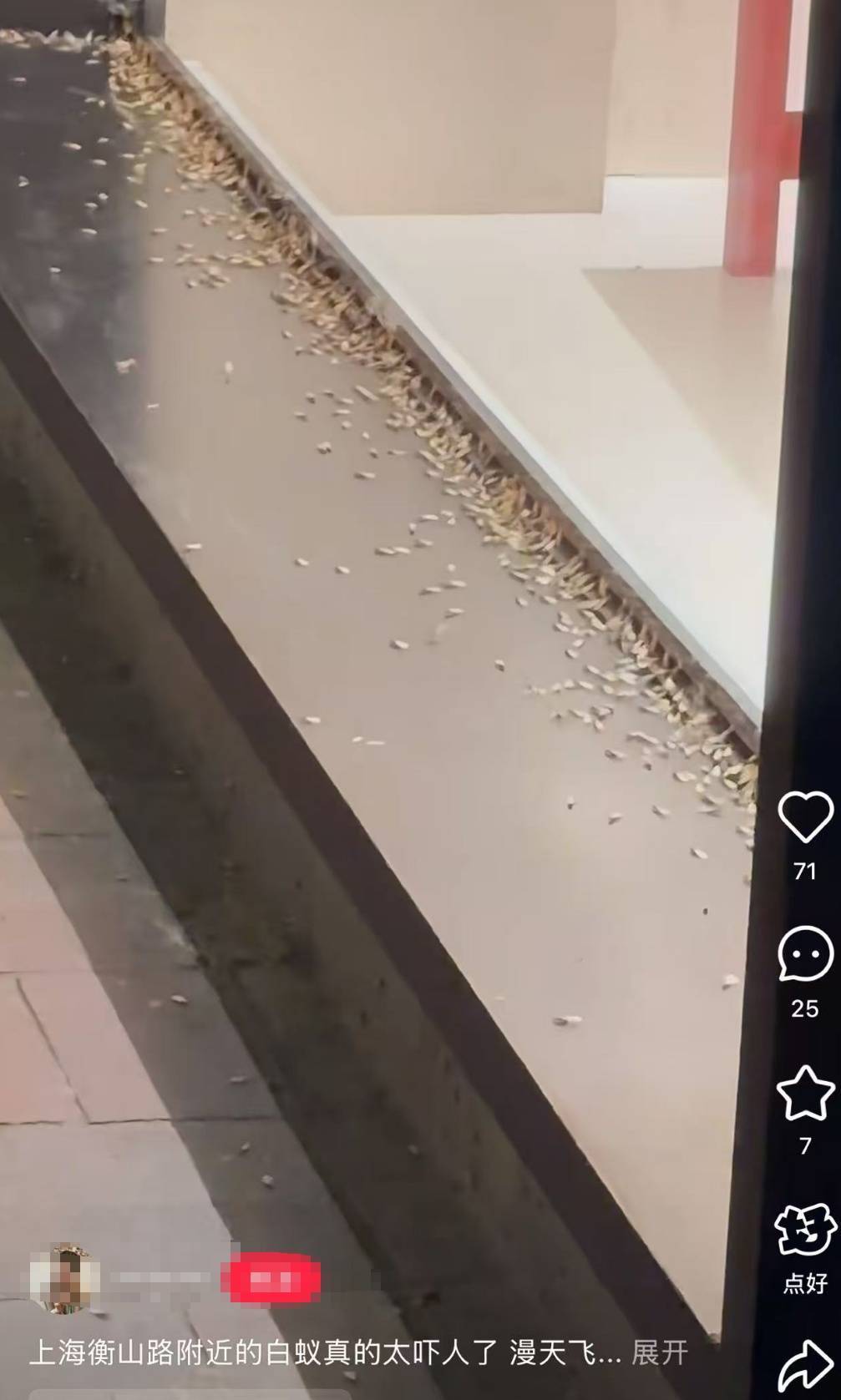 WNBA成绩_紧急提醒：瞬间爆发！上海市民崩溃：密密麻麻WNBA成绩，蠕蠕爬行...“梧桐区”已开始战斗，白蚁或提前分飞