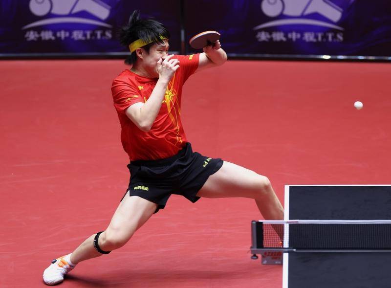 怎么注册皇冠信用网_乒超联赛丨樊振东一日四战全胜 王楚钦率队豪取两连胜