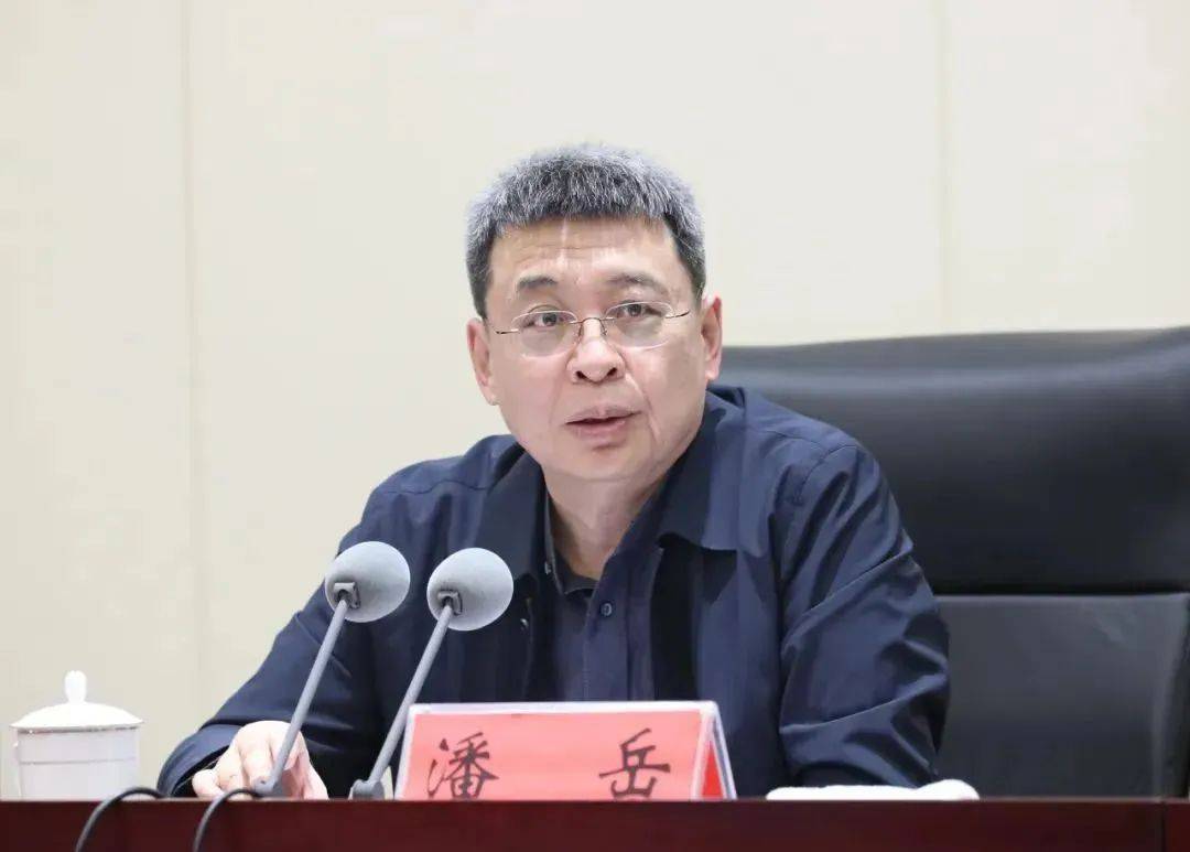 法國甲組聯賽_国家民族事务委员会主任、党组书记潘岳法國甲組聯賽，有新职